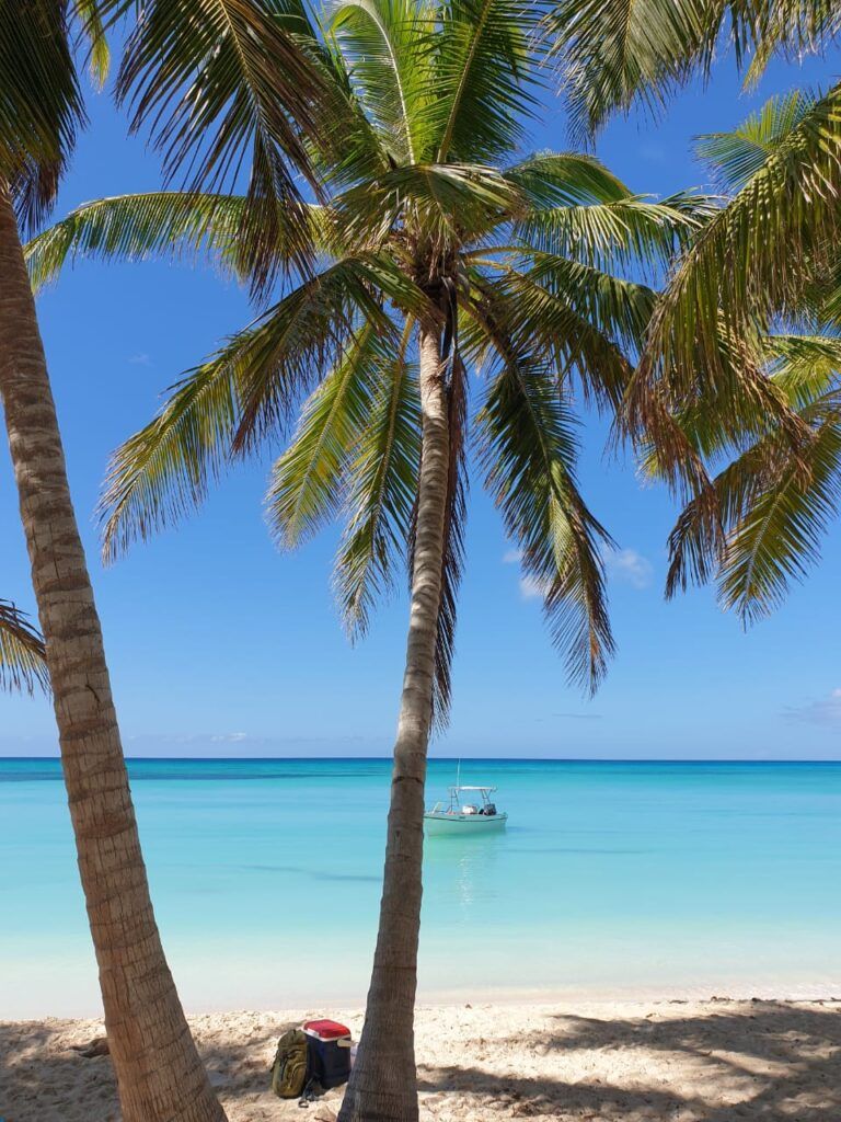 canto de la playa isla saona excursion