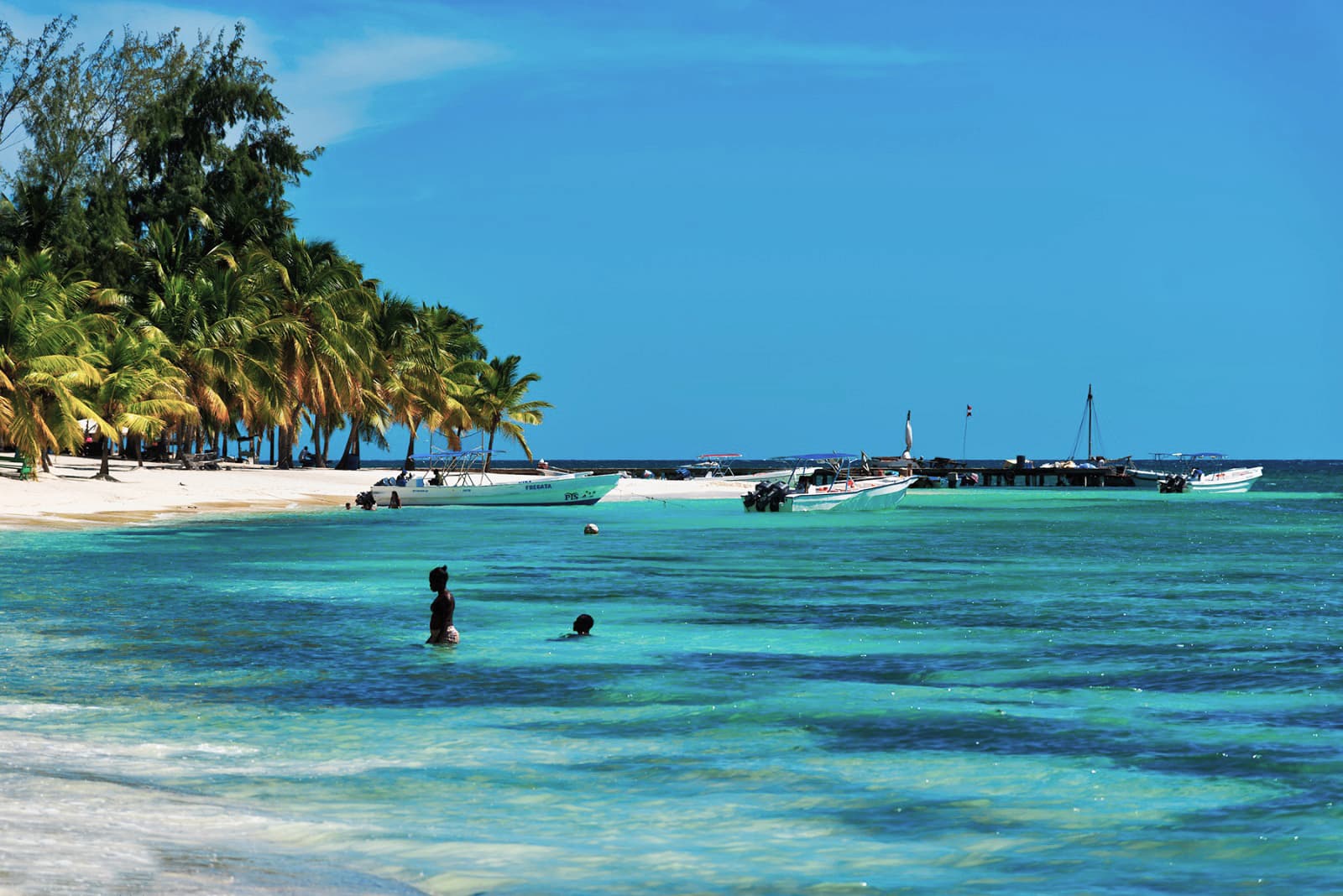 playa de mano juan con palmeras